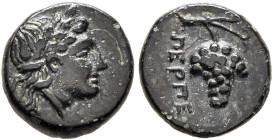 MYSIA. Perperene. 4th century BC. Chalkous (Bronze, 8 mm, 0.69 g, 11 h). Laureate head of Apollo to right. Rev. ΠΕΡΠΕ Bunch of grapes on vine. Planken...