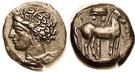 CARTHAGE, Æ16, 3rd cent BC, Tanit head l./Horse stg r, palm tree behind; Choice ...