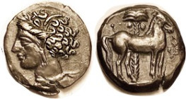 CARTHAGE, Æ16, 3rd cent BC, Tanit head l./Horse stg r, palm tree behind; Choice EF/VF, well centered & struck, glossy dark brown patina, head unusuall...