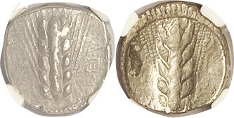 METAPONTUM, Nomos or Stater, 47-440 BC, types as last, dumpy flan type, in NGC s...