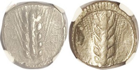 METAPONTUM, Nomos or Stater, 47-440 BC, types as last, dumpy flan type, in NGC slab as CH VF scratches; it is VF, I see no scratches but it's a tiny b...