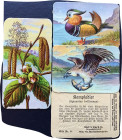 Collector cards, c.1900 Vienna, by Adolf Titze, embossed colorful illustrations, German printed explanations on back, 50 diff animals + 16 flowers/ pl...