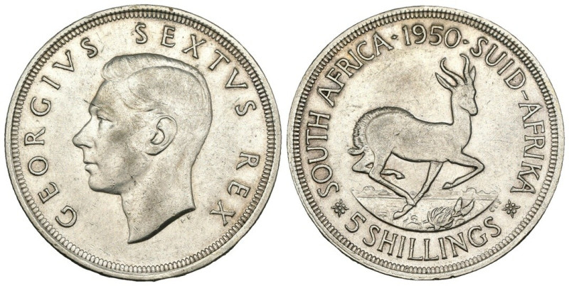 Sud Africa - Giorgio VI (1936-1952) 5 Shilling 1950 - KM#40.1 - Ag

qSPL

SP...