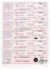 Lotto n.6 Miniassegni - Biella, 1976, Banca Sella da 100, 150, 200, 250, 300, 350 Lire - Galleria d'Arte Perazzone 

FDS

SPEDIZIONE IN TUTTO IL M...