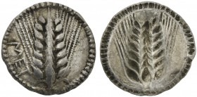 Lucania, Metapontion, Drachm, ca. 540-510 BC; AR (g 2,71; mm 17; h 12); MET, barley-ear, Rv. Same type incuse without legend. HNItaly 1468; Noe 52.
Ex...