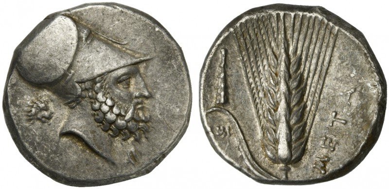 Lucania, Metapontion, Nomos, ca. 330 BC; AR (g 7,90; mm 20; h 6); Helmeted head ...