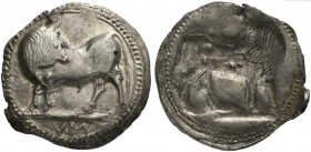 Lucania, Sybaris, Stater, ca. 550-510 BC; AR (g 8,16; mm 30; h 12); Bull advancing l., looking backwards; in ex. MV (retrograde), Rv. Same type incuse...