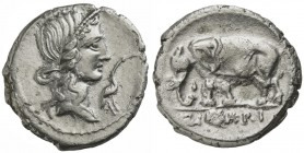 Q. Caecilius Metellus Pius, Denarius, North Italy, 81 BC; AR (g 3,68; mm 17; h 7); Head of Pietas r.; before, stork, Rv. elephant l.; in ex. Q C M P I...