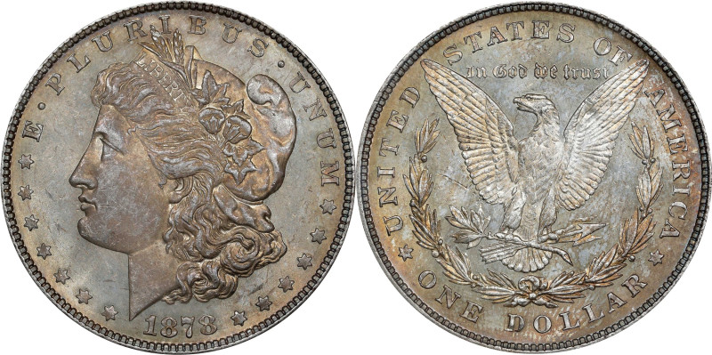 1878 Morgan Silver Dollar. 8 Tailfeathers. VAM-1. Spear Point. MS-63 (ANACS). OH...