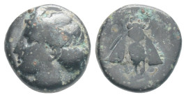 Ionia, Ephesos. Ae, . Circa 375-325 BC. 1,3 g. 10,2 mm.
Obv: Female head left, wearing mural-crown.
Rev: E – Φ, Bee.
Ref: SNG von Aulock 1839; SNG Cop...