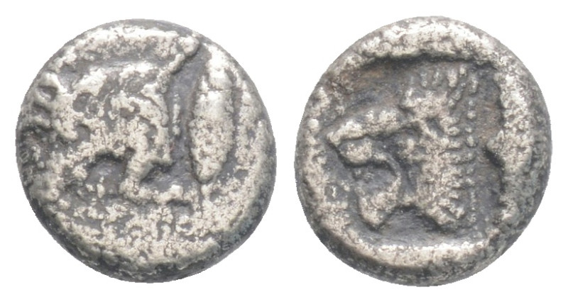 Greek MYSIA, Kyzikos (Circa 450-400 BC) AR obol (7,8 mm, 0,49 g)
Obv: Forepart o...