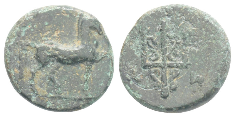 CARIA. Mylasa. Ae (Circa 210-30 BC). Horse standing right, leg raised. Ornate tr...