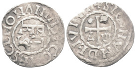 Medieval silver coins 1 g. 19,9 mm.