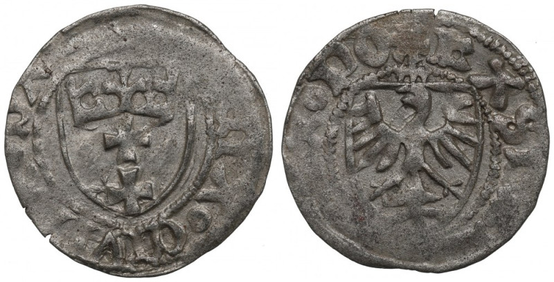 Casimir IV Jagellon, Schilling without date, Danzig Obiegowy, lekko niedobity eg...