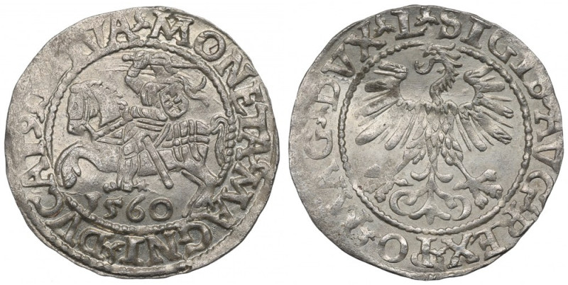 Sigismund II Augustus, Halfgroat 1560, Vilnius - L/LITVA Bardzo ładny egzemplarz...