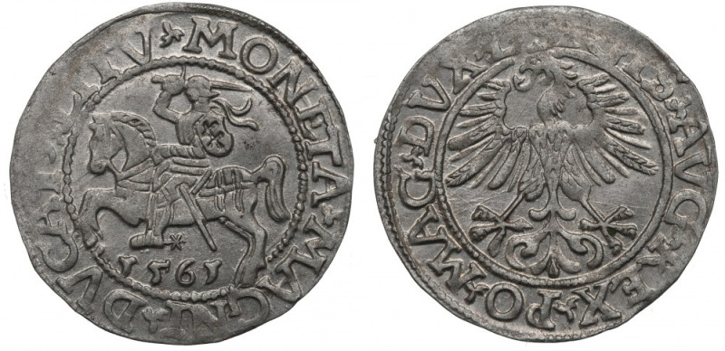 Sigismund II Augustus, Halfgroat 1565, Vilnius Piękny, okołomenniczy egzemplarz....