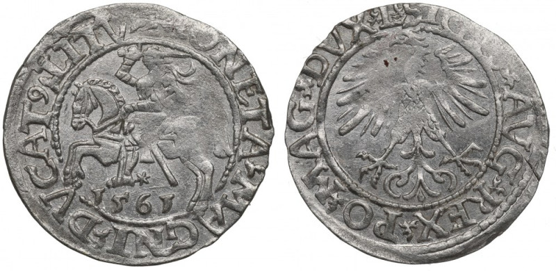 Sigismund II Augustus, Halfgroat 1565, Vilnius Ładnie zachowany egzemplarz. Lekk...