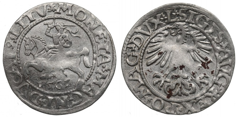 Sigismund II Augustus, Halfgroat 1565, Vilnius Ładny egzemplarz. Lekko podgięty....