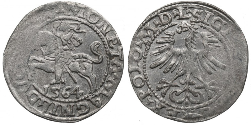 Sigismund II Augustus, Halfgroat 1564, Vilnius - L/LITV Ładny egzemplarz. Dobrze...