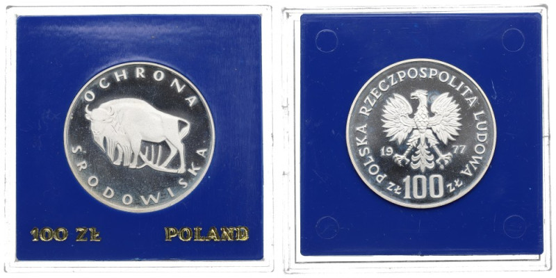 PRL, 100 złotych 1977 Ochrona środowiska - Żubr Ryski w tle. Patyna. 
Grade: Pr...