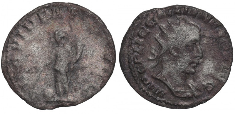 Roman Empire, Gallienus, Antoninian Awers: popiersie cesarza w koronie promienis...