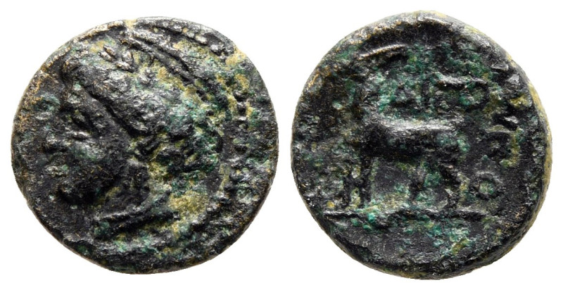 Thrace. Aigospotamoi circa 300 BC. 
Bronze Æ

12 mm, 1,42 g



Nearly Ver...