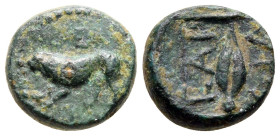 The Thracian Chersonese. Cardia circa 309-220 BC. Bronze Æ