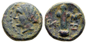 The Thracian Chersonese. Chersonesos circa 300 BC. Bronze Æ