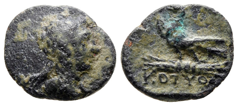 Kings of Thrace. Odrysian, Kotys VI 57-48 BC. 
Bronze Æ

13 mm, 1,19 g


...