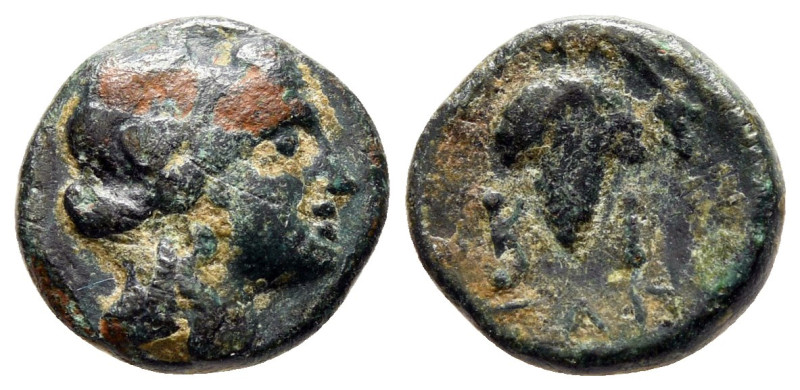 Asia Minor. Uncertain mint circa 300-200 BC. 
Bronze Æ

12 mm, 1,58 g



...