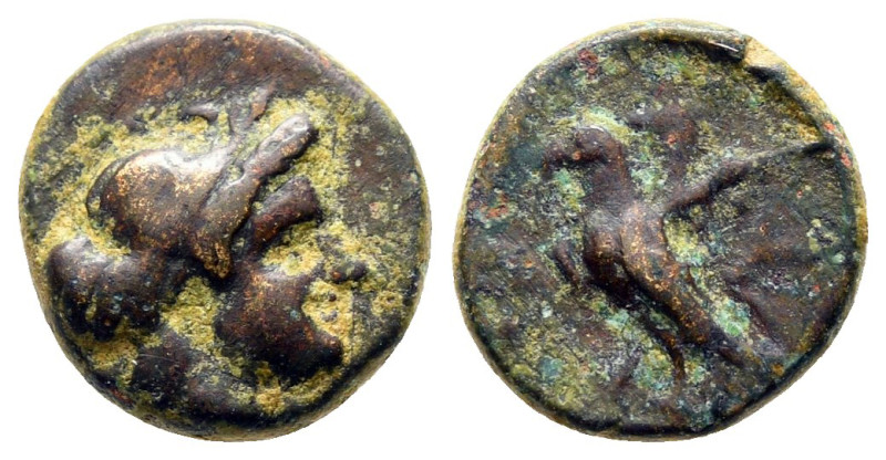 Troas. Abydos circa 400-200 BC. 
Bronze Æ

11 mm, 1,34 g



Very Fine