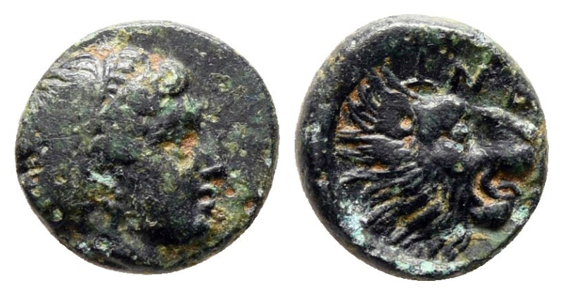 Troas. Antandros circa 350-340 BC. 
Bronze Æ

8 mm, 0,63 g



Very Fine