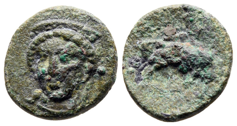 Ionia. Phygela circa 250-200 BC. 
Bronze Æ

14 mm, 1,65 g



Fine