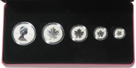 Kanada. 
Maple Leaf Fractional Set 2013, "25th Anniversary of the Silver Maple Leaf", mit 5 Münzen von 1 bis 5 Dollars (1/20, 1/10, 1/4, 1/2 u. 1 Oz ...