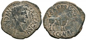 Calagurris. As. 27 a.C.-14 d.C. Calahorra (Logroño). (Abh-416). (Acip-3122a). Ae. 10,82 g. Época de Augusto. MBC. Est...65,00.