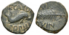 Cartagonova. Semis. 50-30 a.C. Cartagena (Murcia). (Abh-570). (Acip-2526). Ae. 4,76 g. MBC-. Est...40,00.