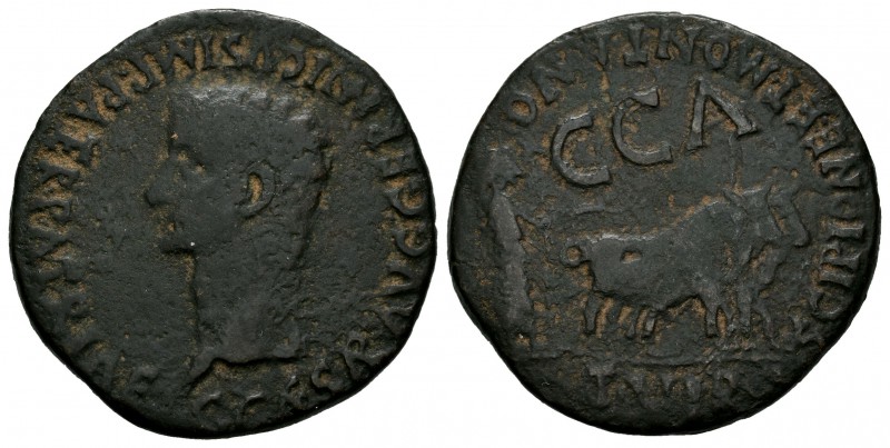 Caesar Augusta. As. 37-41 d.C. Zaragoza. (Abh-587). Anv.: Cabeza de Calígula a i...