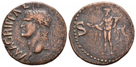 Agripa. As. 37-1 d.C. Roma. (Spink-1812). (Ric-58). Rev.: S C. Neptuno en pie a izquierda con delfín y tridente. Ae. 9,40 g. BC+. Est...45,00.