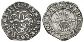 Fernando e Isabel (1474-1504). 1/2 real. Burgos. (Cal-429 variante). Ag. 1,66 g. Armiño al final de la leyenda de anverso y reverso. Con B y punto. Ra...
