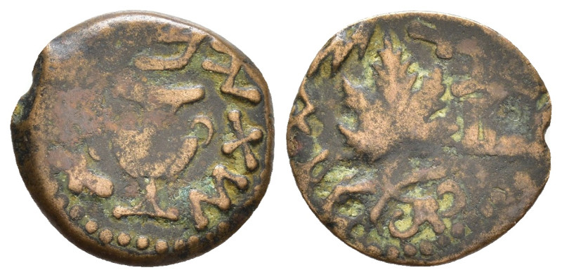 JUDAEA, First Jewish War. 66-70 CE. Æ Prutah 1,59g