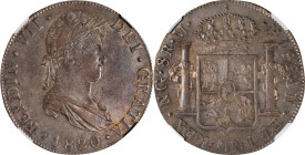 GUATEMALA. 8 Reales, 1820-NG M. Nueva Guatemala Mint. Ferdinand VII. NGC AU Details--Graffiti.
KM-69; Cal-1235. Magenta gray surfaces can boast a hin...
