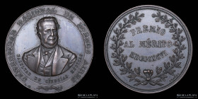 Argentina. Medicina. 1896. Premio al Merito. Universidad Buenos Aires