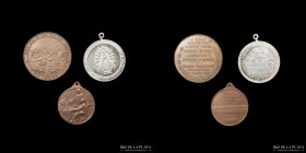 Argentina. 1882 a 1900. Lote x3 Medallas de La Plata. A clasificar