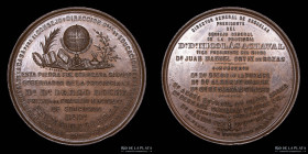 Argentina. 1883. Consejo Y Dir. Gral de Educacion. Cobre. R. Grande