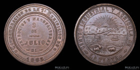Argentina. 1885. Centro Industrial y Agricola de La Plata. Podesta