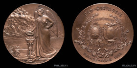 Argentina. 1896. Pro-Guayaquil. Confraternidad argentina ecuatoriana