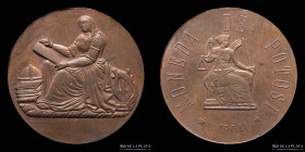 Bolivia. 1901. Casa de Moneda de Potosi. RTB 489