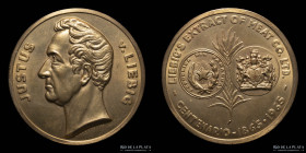 Paraguay. 1965. Centenario de Liebig´s Extract of Meat Co. Ltd.