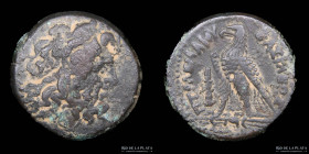 Ptolemaic Kingdom. Ptolemy II Philadelphos (285-246BC) AE Obol