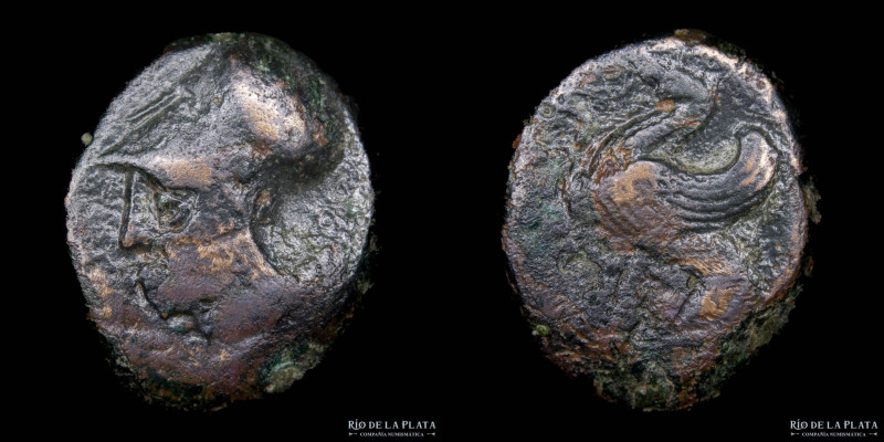 Syracuse. Sicily. Time of Dionysios I (405-367BC) Hemilitron. Bronze; 18.5mm; 5....